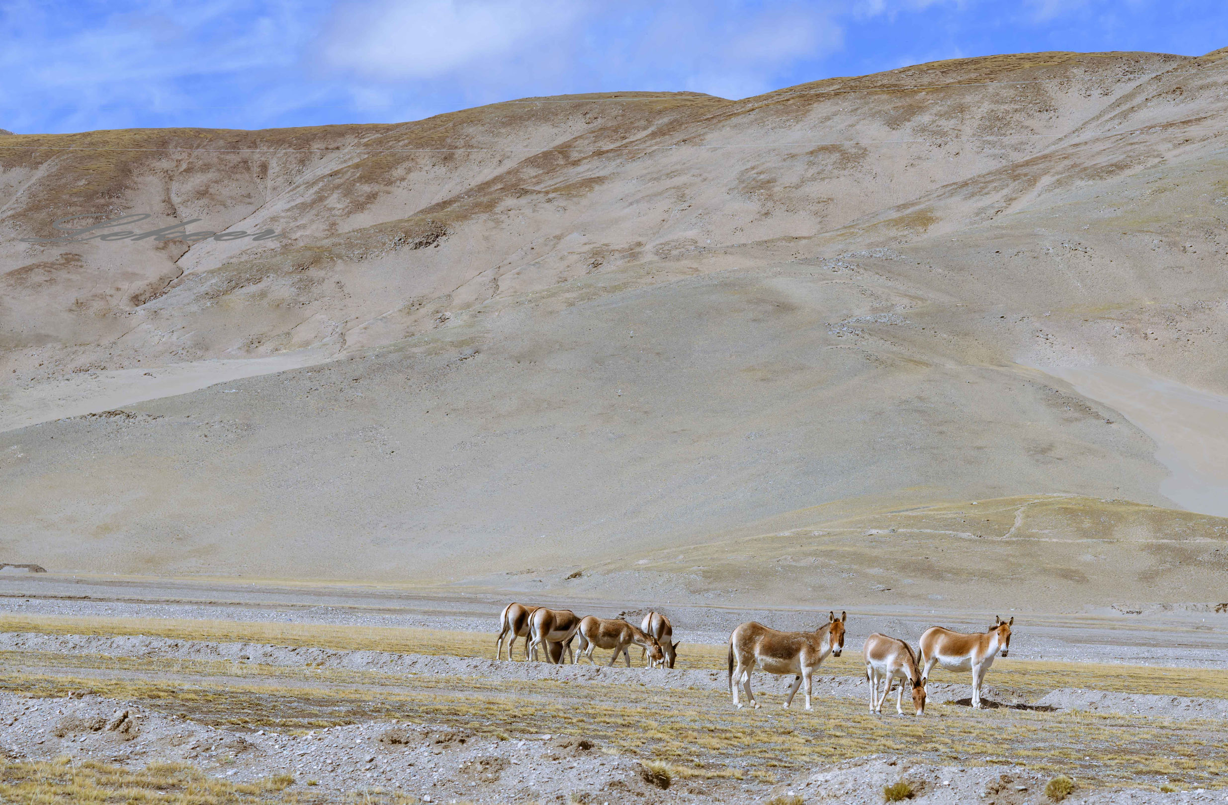 青藏线出西藏自驾攻略,出藏109国道自驾攻略