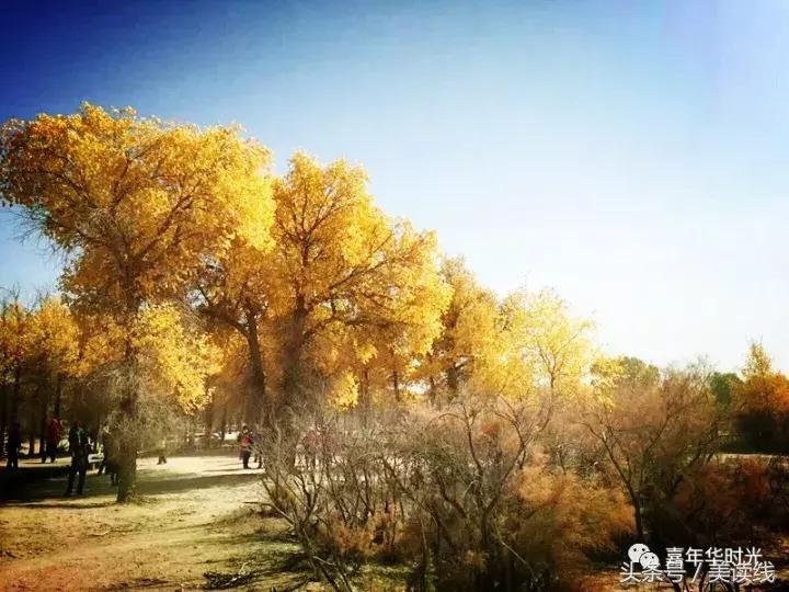 在路上：朱登荣《西北三省行》