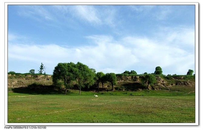 甘肃赏田园风光感受乡村魅力,甘肃渭源风景图片大全