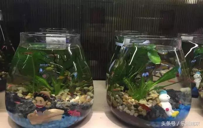 10块钱可以买到什么好物,10块钱就能买到的家居好物