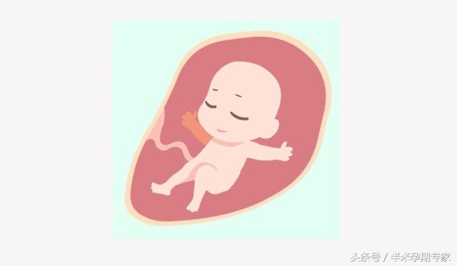 如何数胎动动画,如何数胎动的简单方法