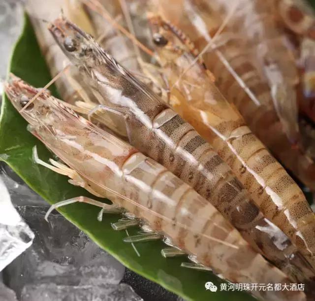 黄河明珠韩城,2019黄河明珠韩城大酒店