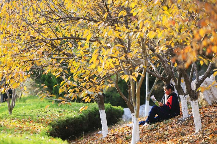 金秋沂南,诗意流淌有那么一群爱美的人,把秋季沂南送到你面前
