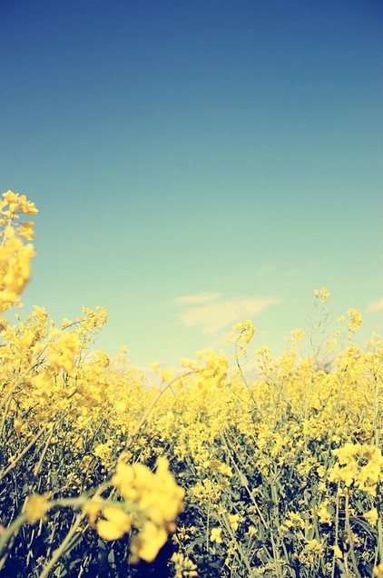 最近很喜欢的一段话建议收藏,喜欢记得点赞收藏的句子