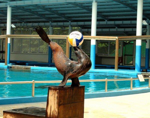 圣淘沙岛新加坡旅游攻略,新加坡圣淘沙海滩攻略