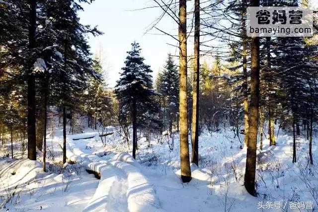 江浙沪十佳亲子酒店,适合亲子酒店推荐