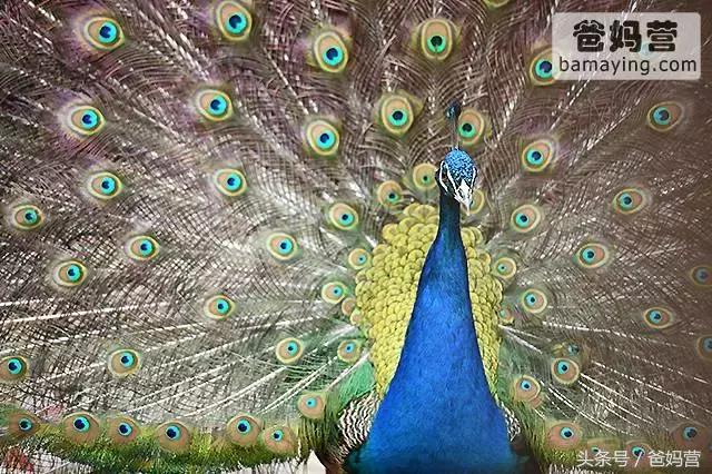 江浙沪十佳亲子酒店,适合亲子酒店推荐