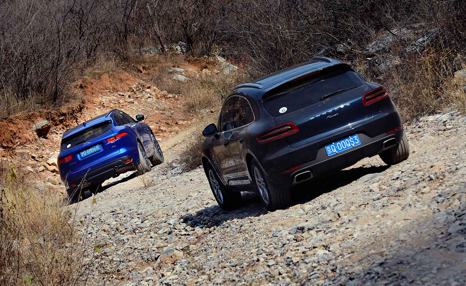 保时捷macan对比捷豹fpace2021款,保时捷macan路虎揽胜星脉捷豹f-pace