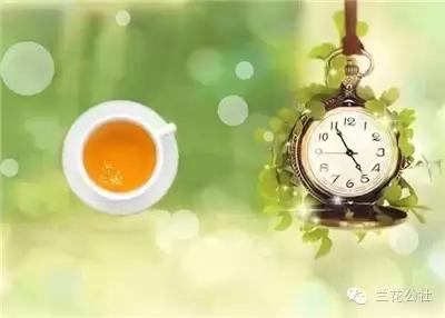 小青柑茶叶销售广告语,唯美的茶叶广告词大全集