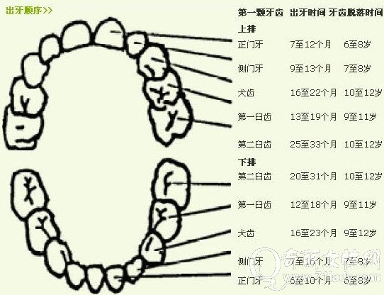 宝宝长牙发烧注意事项,婴儿长牙发烧应注意事项