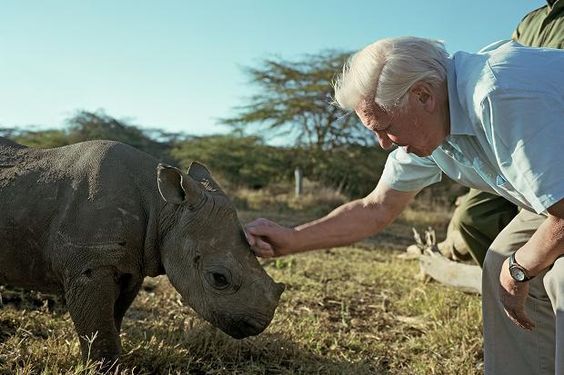 大卫爱登堡60年,大卫爱登堡中国