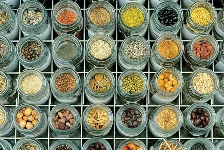 给未来“留种”！他们建的这个库是我见过最酷的