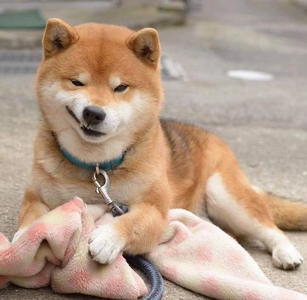 面膜的发展历程,diy面膜发展前景