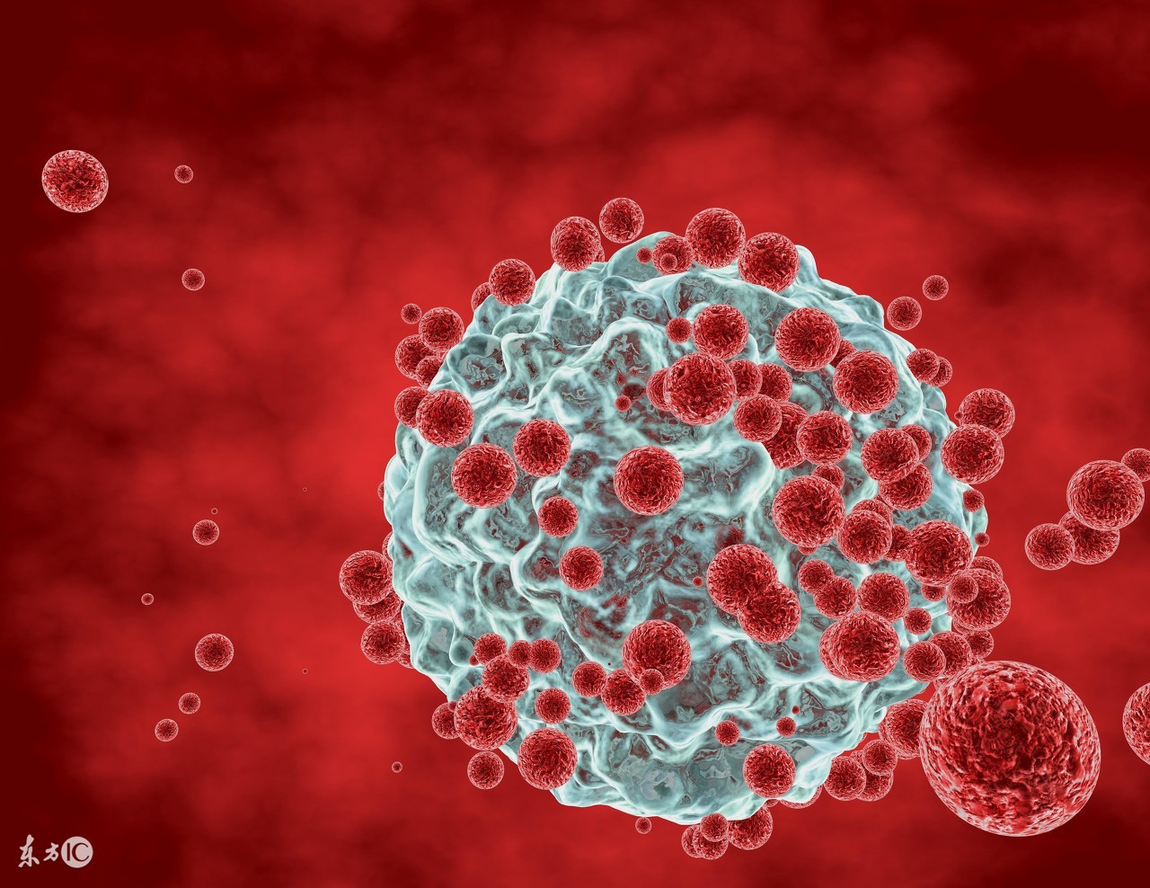 当今肿瘤的诊断和治疗方法,目前肿瘤治疗的几大方法
