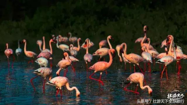 2018一起去旅行吧,2018一起旅行