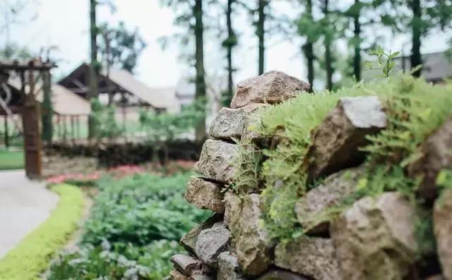 乌村生态园,乌山农家乐和休闲农庄