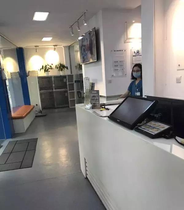 中国为什么没有正规的宠物医院,国内靠谱的宠物医院