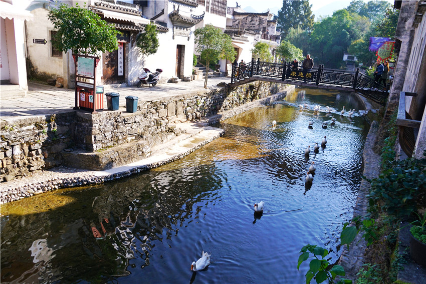 看徽州人的骆驼精神,徽州骆驼精神