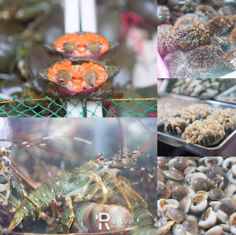 春节去三亚避寒攻略,冬天来三亚避寒