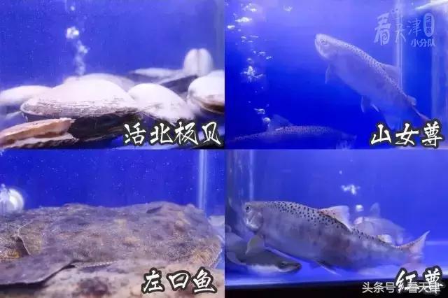 天津藏在小巷里网红店,天津和平区日料店推荐