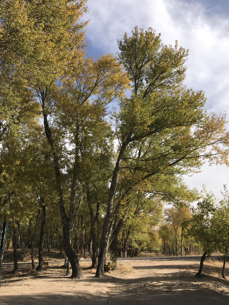 自驾赤峰草原2日,自驾赤峰草原视频