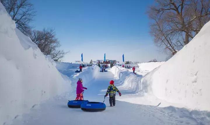 渥太华的冬季,渥太华冬季