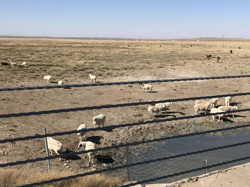 自驾赤峰草原2日,自驾赤峰草原视频