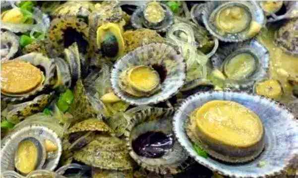 深圳连接珠海的大桥,深圳珠海新开通线路