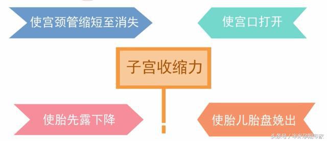 影响胎儿分娩的因素,护考影响分娩的因素
