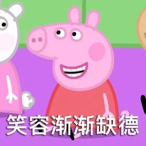 雅诗兰黛小棕瓶换哪种精华,雅诗兰黛小棕瓶配白泥