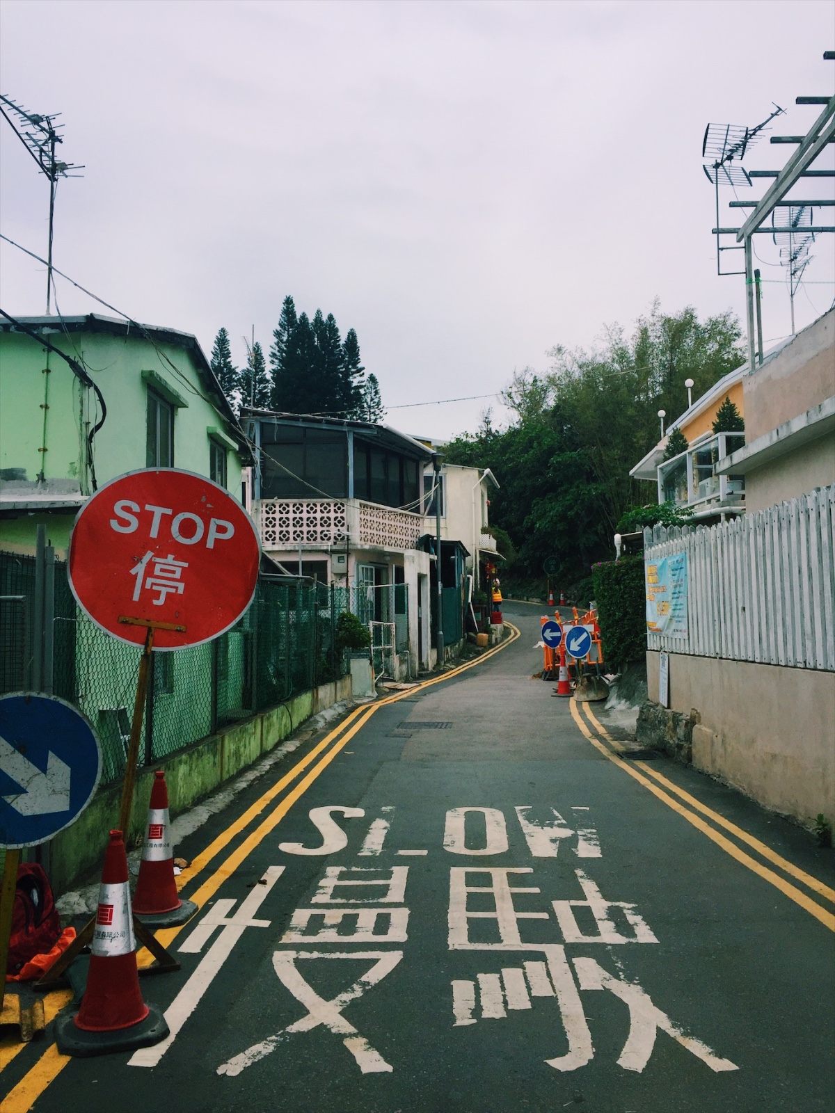 VA踩点|我养你啊