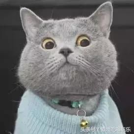 一杯奶茶就失眠了,一杯奶茶失眠到天亮