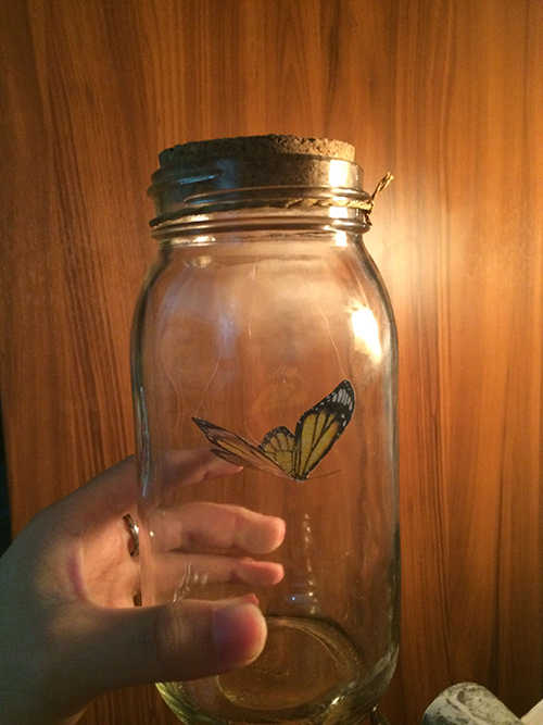 上古卷轴5房屋咋装修,上古卷轴5房子装修