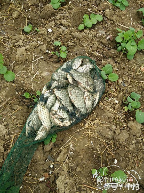 携好友出征私留地天虽冷鱼情很给力