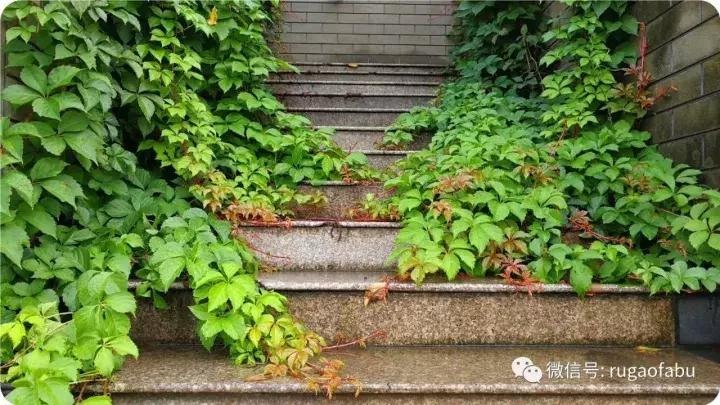 中国宜居长寿城市,美丽的如皋长寿之乡