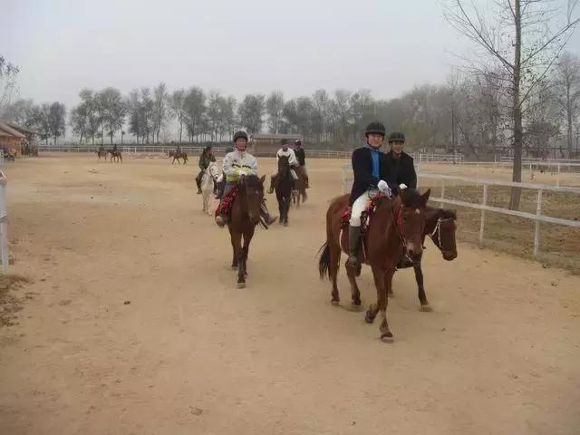 大连周边温泉度假村排名榜,大连周边温泉游最佳地方
