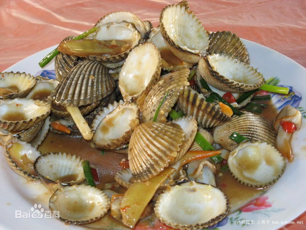 蚶子什么时候挖最肥,海里的蚶什么时候最肥美