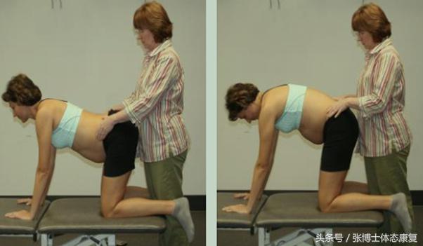 运动耻骨疼痛是什么原因,运动耻骨肌痛如何缓解