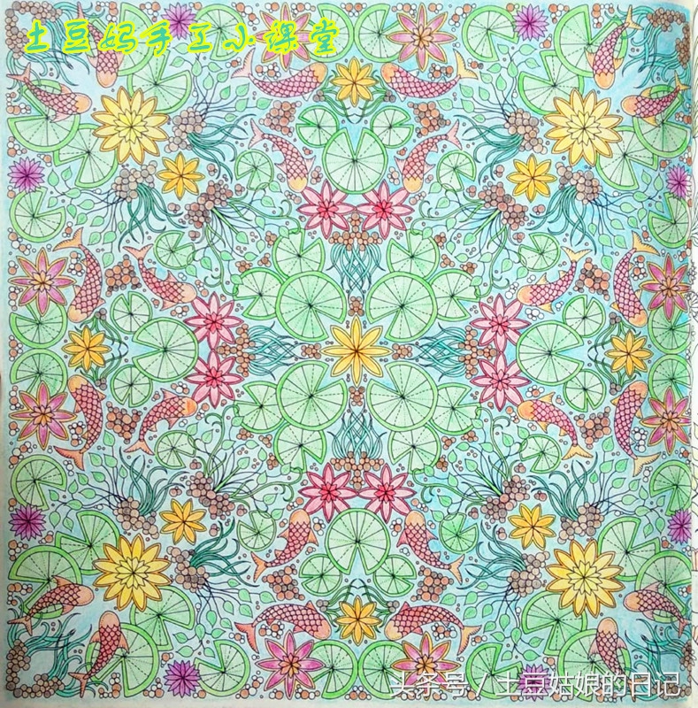 玩秘密花园涂色本,秘密花园涂色本可爱