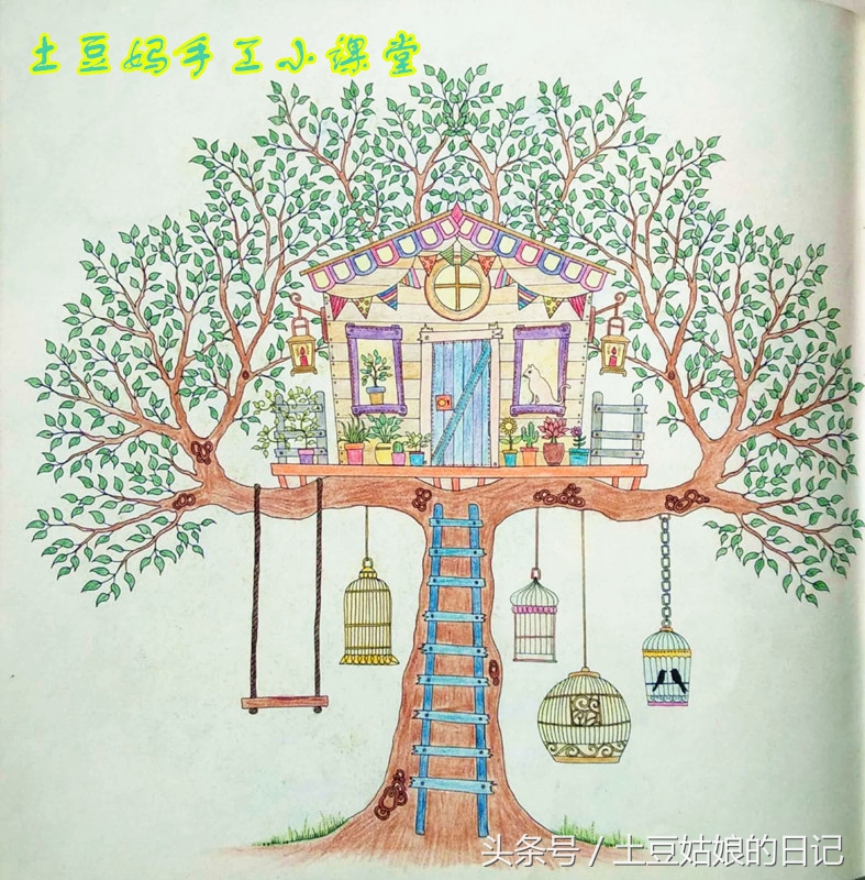 玩秘密花园涂色本,秘密花园涂色本可爱