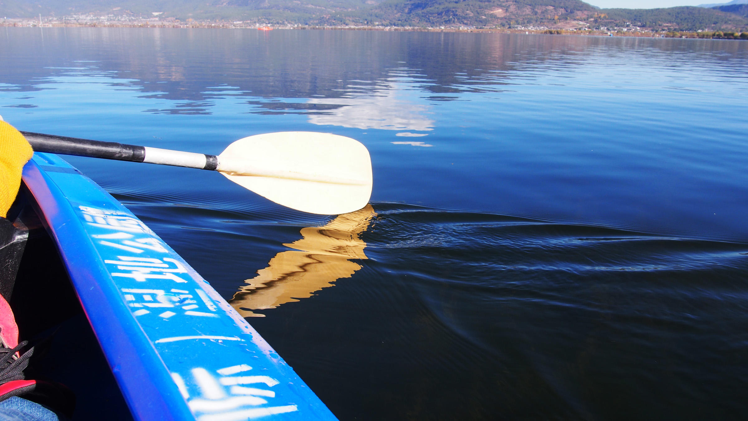 水至清则无鱼游泳,水至清则无鱼但是还是有很多鱼