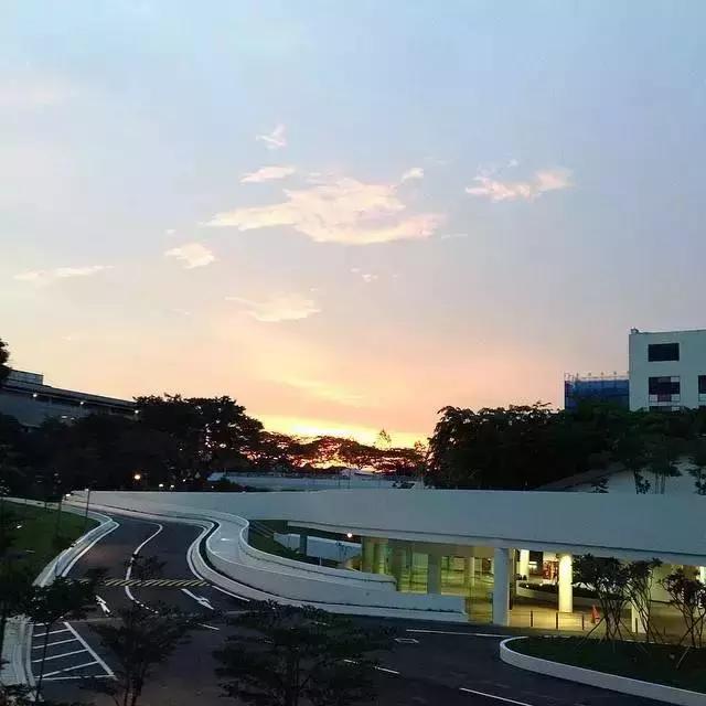 新加坡义安理工学院哪个专业最好,新加坡义安理工学院留学的弊端