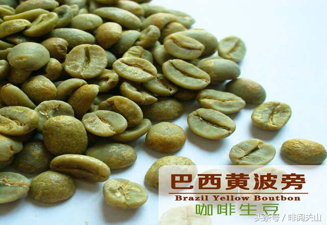 巴西山度士咖啡,巴西的咖啡品牌