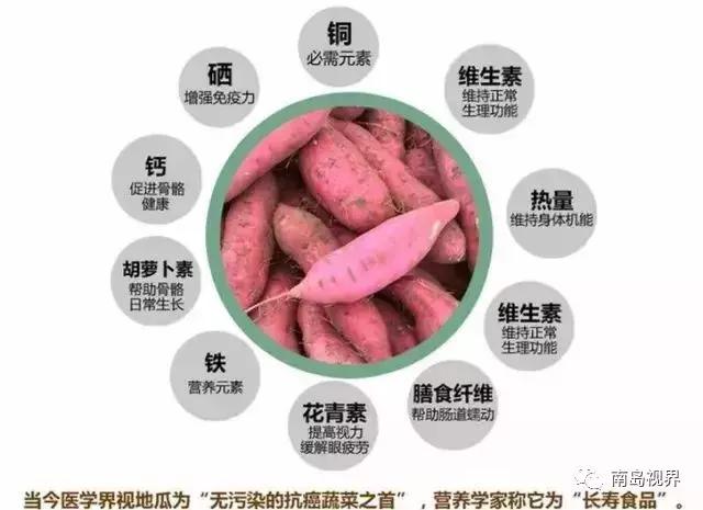 来海南带什么纪念品回去,来海南带什么回去送人