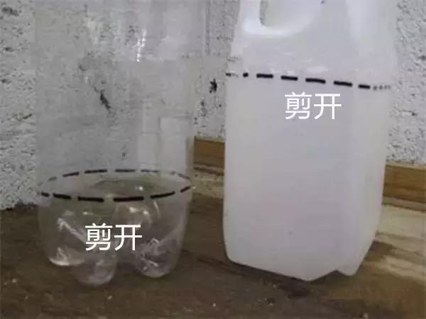 小瓶子手工制作小东西养花,省钱10大养花神器1个塑料瓶做出来