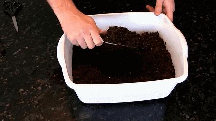 小瓶子手工制作小东西养花,省钱10大养花神器1个塑料瓶做出来