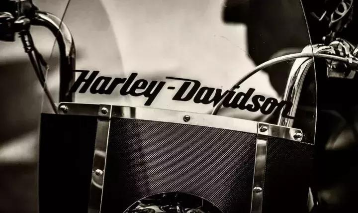 给品牌取名字大全,给你取一个好听的名字