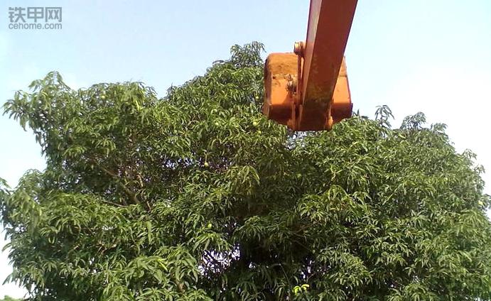 我在非洲开挖机:车坏了没法修,时刻提防打劫盗窃