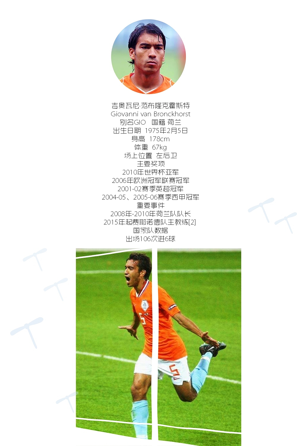 荷兰十大巨星排名,荷兰队史十大巨星排名