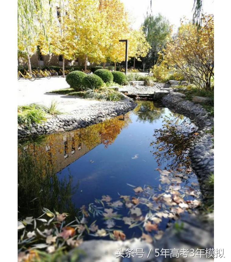 中央财经大学全国排名,最好就业的全国财经大学排名